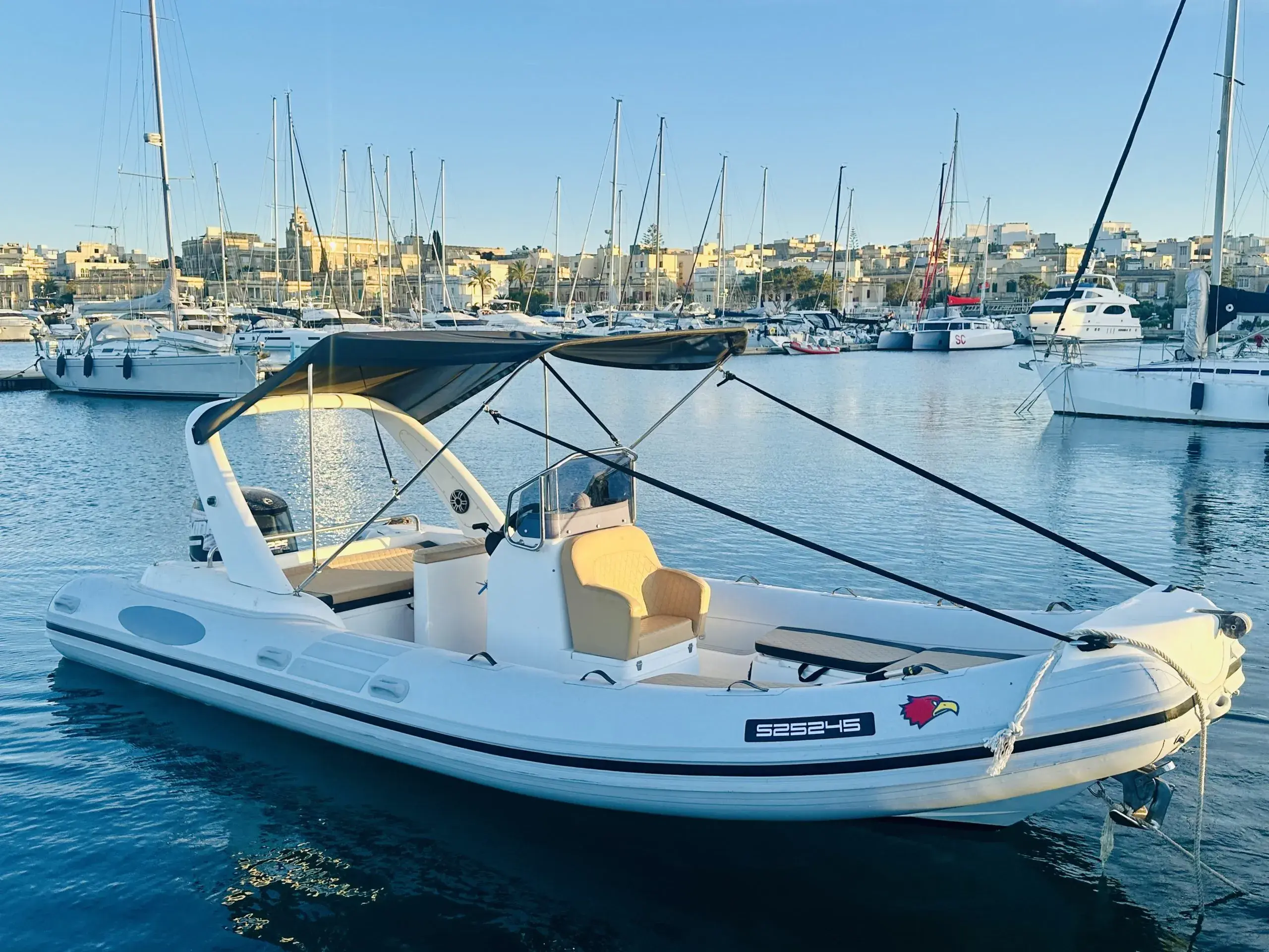 LED 7m, a rib for charter in Malta at Ta' Xbiex
